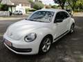 Volkswagen Beetle Sport Weiß - thumbnail 3
