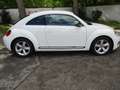 Volkswagen Beetle Sport Weiß - thumbnail 8