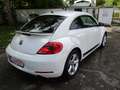 Volkswagen Beetle Sport Weiß - thumbnail 7