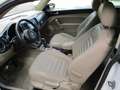 Volkswagen Beetle Sport Weiß - thumbnail 10