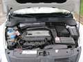 Volkswagen Beetle Sport Weiß - thumbnail 14