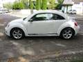 Volkswagen Beetle Sport Weiß - thumbnail 4