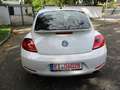 Volkswagen Beetle Sport Weiß - thumbnail 6
