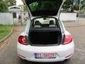 Volkswagen Beetle Sport Weiß - thumbnail 13