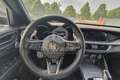 Alfa Romeo Stelvio Stelvio 2.2 Turbodiesel 210 CV AT8 Q4 Tributo Italiano Rosso - thumbnail 11