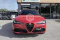 Alfa Romeo Stelvio Stelvio 2.2 Turbodiesel 210 CV AT8 Q4 Tributo Italiano Rosso - thumbnail 2
