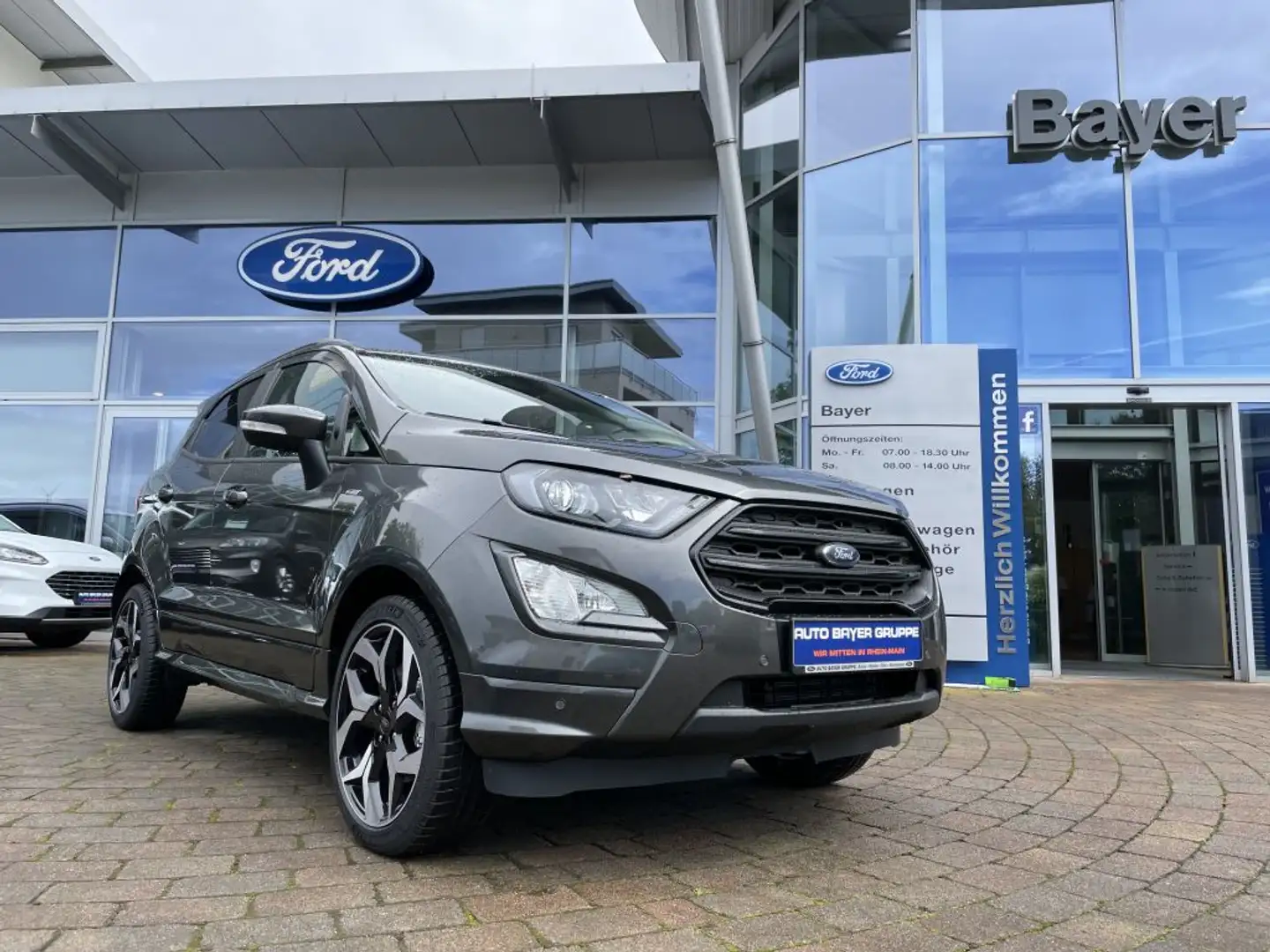 Ford EcoSport 1.0 EcoBoost ST-LINE Grau - 1