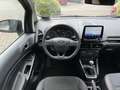 Ford EcoSport 1.0 EcoBoost ST-LINE Grau - thumbnail 12