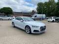 Audi A5 50 Tdi,SLine*Virtual*Matrix*Kamera*Leder*19 Zoll Weiß - thumbnail 3