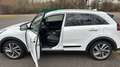 Kia Niro Niro 1.6 GDI 2WD Aut. Spirit Weiß - thumbnail 5