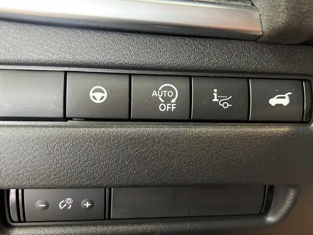 Nissan Qashqai view 19