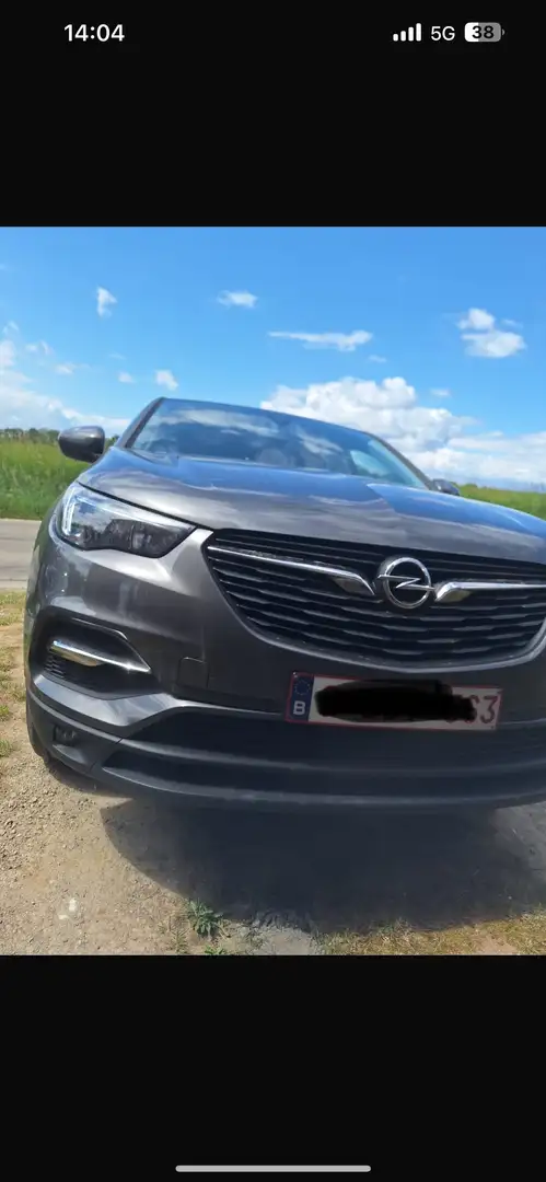 Opel Grandland X 1.2 Turbo ECOTEC Design Line (EU6.2) - 1
