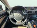 Lexus IS 300 300h Business Azul - thumbnail 12