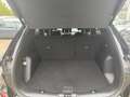 Ford Kuga 1.5 EcoBoost Titanium AHK/el.Heckkl./WIPA Noir - thumbnail 20