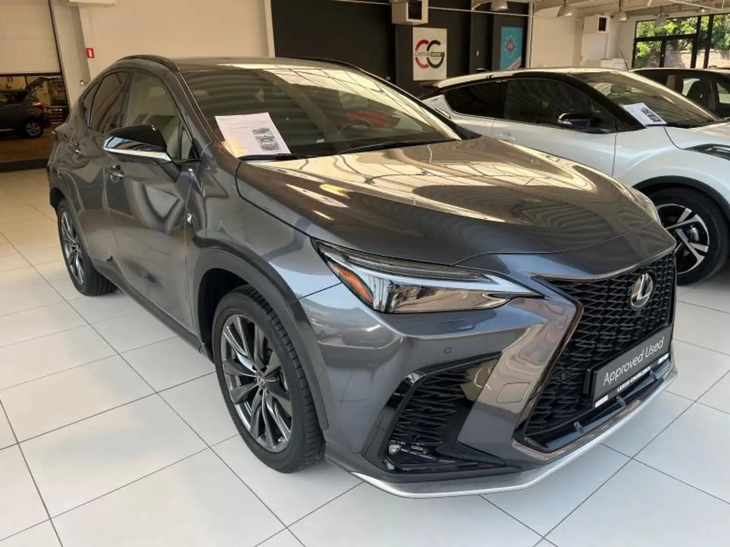 Lexus NX 450h+ F-Sport Gris - 2