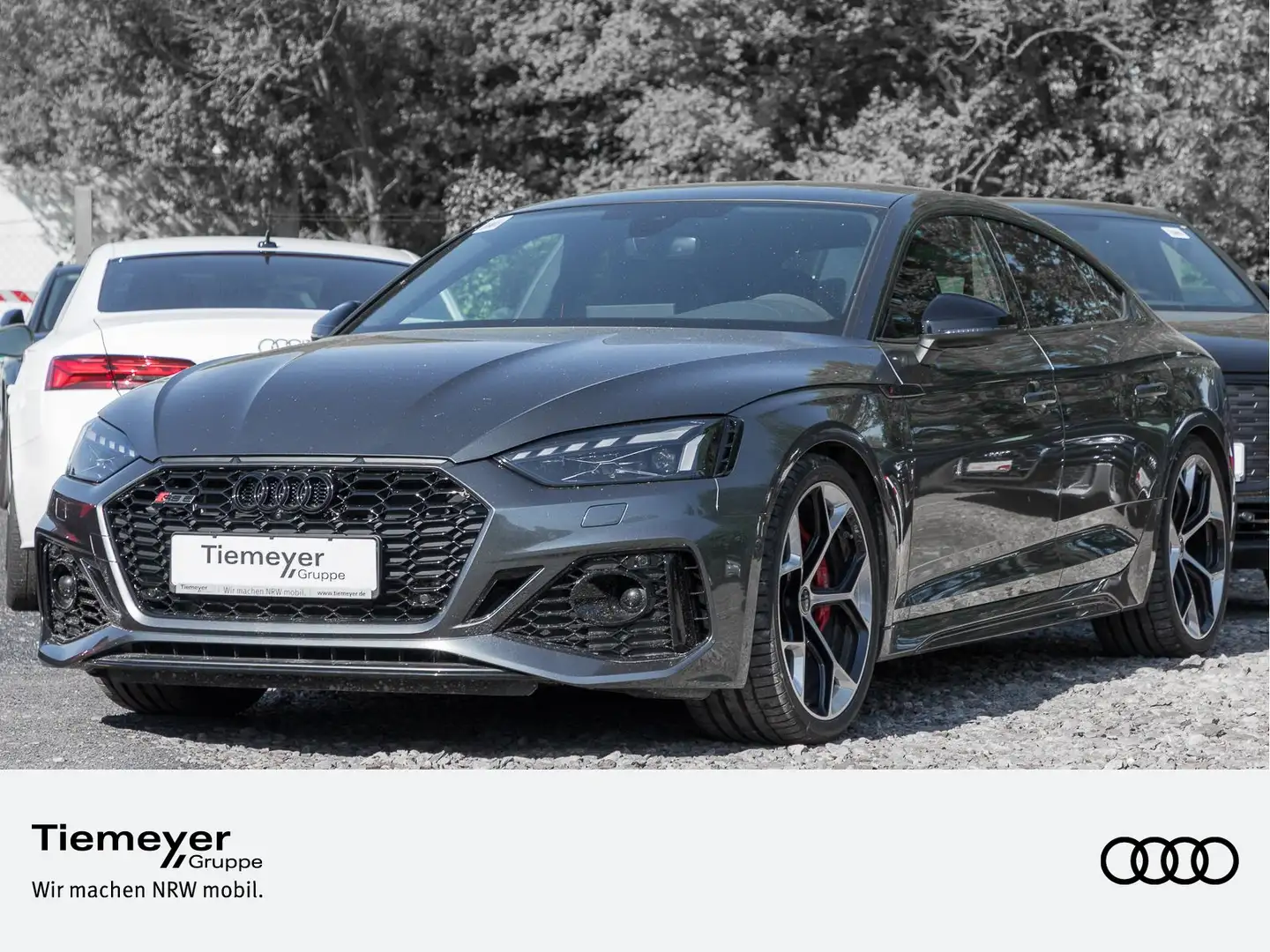 Audi RS5 RS5 Sportback COMPETITION PANO SPORT-AGA+ ASSIST Gris - 1