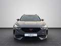 CUPRA Formentor 2.0 TDI 4Drive DSG Pano RFK Navi Beats Grau - thumbnail 5
