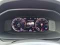 CUPRA Formentor 2.0 TDI 4Drive DSG Pano RFK Navi Beats Grau - thumbnail 10