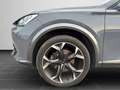 CUPRA Formentor 2.0 TDI 4Drive DSG Pano RFK Navi Beats Grau - thumbnail 8