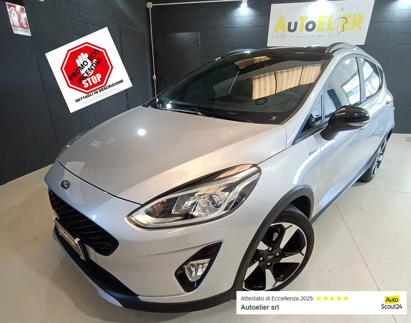 Ford Fiesta Fiesta Active 1.0 ecoboost s Argento - 1