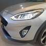 Ford Fiesta Fiesta Active 1.0 ecoboost s Argento - thumbnail 12