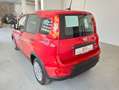 Fiat New Panda 1.0 FireFly Hybrid Rojo - thumbnail 12