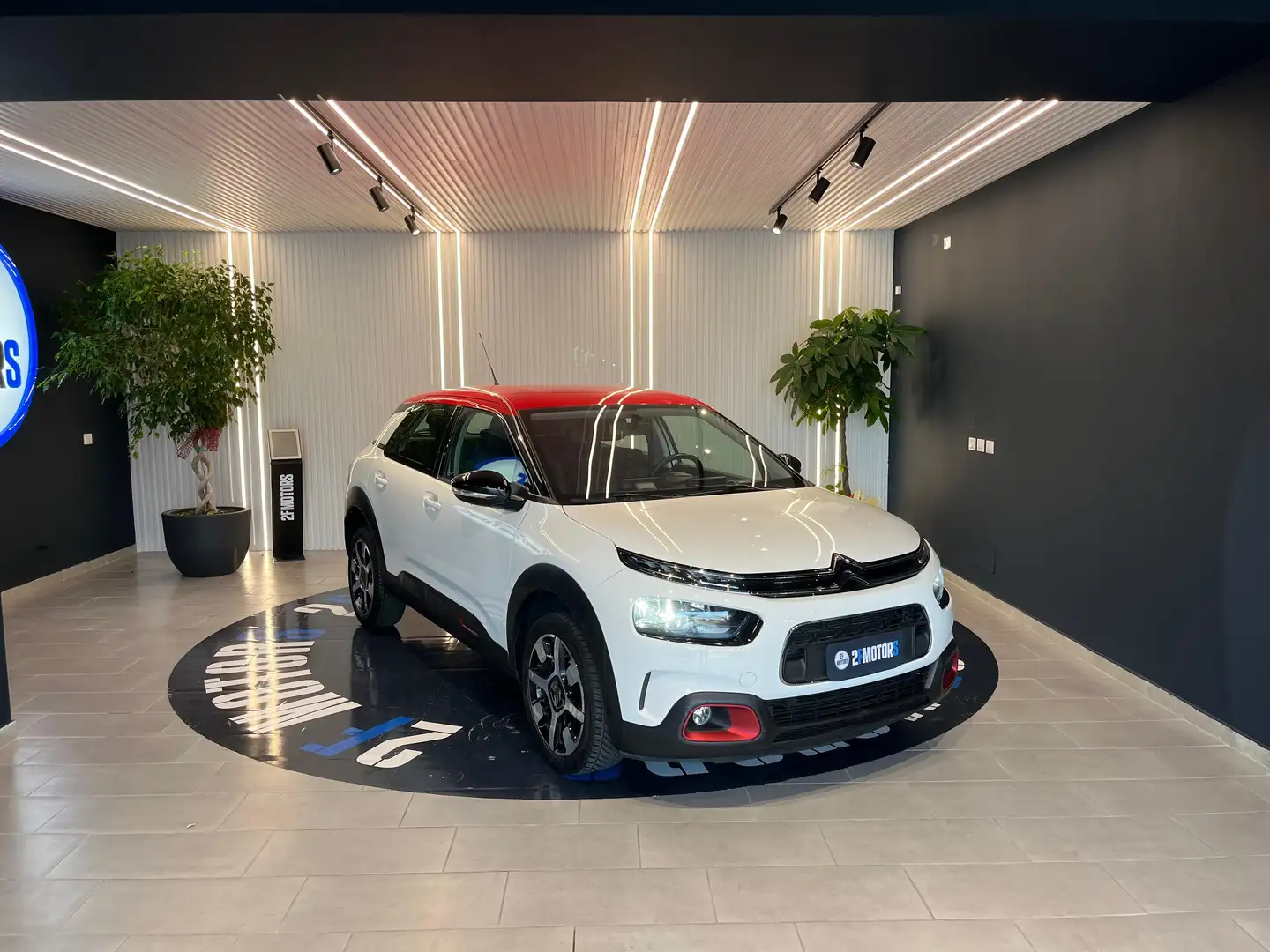 Citroen C4 Cactus 1.5 bluehdi Shine s Bianco - 1
