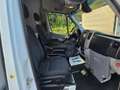 Mercedes-Benz Sprinter 316 L2H2.Klima.Standheizung. Weiß - thumbnail 13