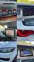 Audi Q7 3.0 V6 tdi Advanced Plus quattro 240cv tiptronic - thumbnail 14