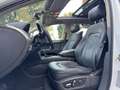 Audi Q7 3.0 V6 tdi Advanced Plus quattro 240cv tiptronic - thumbnail 9