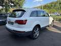 Audi Q7 3.0 V6 tdi Advanced Plus quattro 240cv tiptronic - thumbnail 5