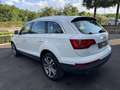 Audi Q7 3.0 V6 tdi Advanced Plus quattro 240cv tiptronic - thumbnail 7