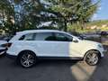 Audi Q7 3.0 V6 tdi Advanced Plus quattro 240cv tiptronic - thumbnail 4
