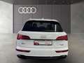 Audi Q5 40 TDI quattro S tronic S line LED Navi Tempo Weiß - thumbnail 7