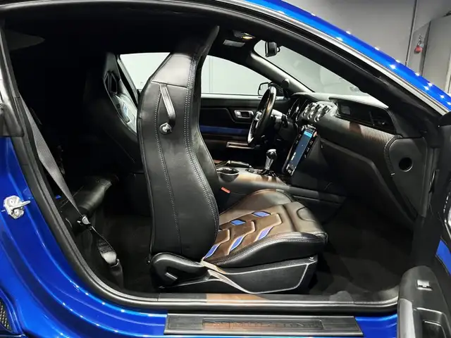 Ford Mustang view 11