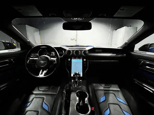 Ford Mustang view 13