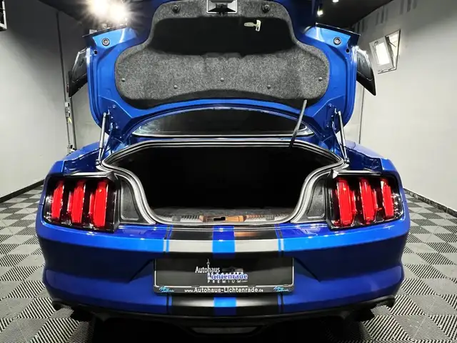 Ford Mustang view 8