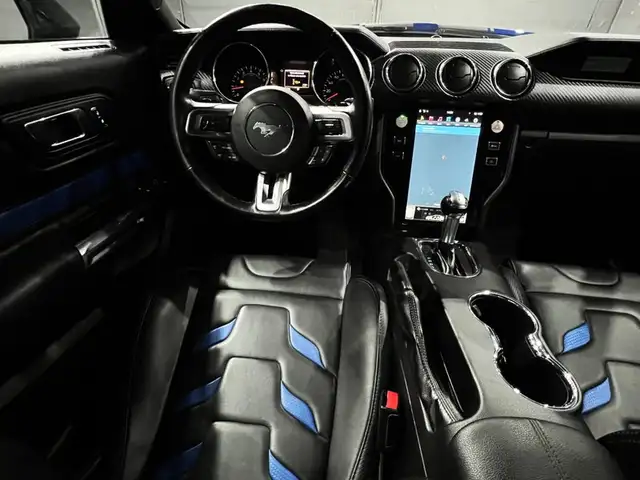 Ford Mustang view 14