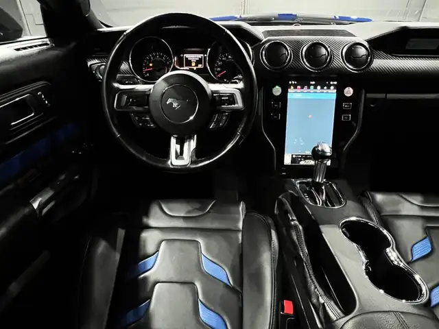 Ford Mustang view 15