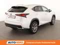 Lexus NX 300h NX 300h Executive 4WD FHEV Weiß - thumbnail 6
