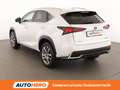 Lexus NX 300h NX 300h Executive 4WD FHEV Weiß - thumbnail 4