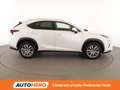 Lexus NX 300h NX 300h Executive 4WD FHEV Weiß - thumbnail 7