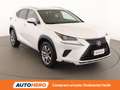 Lexus NX 300h NX 300h Executive 4WD FHEV Weiß - thumbnail 8