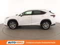 Lexus NX 300h NX 300h Executive 4WD FHEV Weiß - thumbnail 3