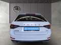 Skoda Superb Combi 2.0 TDI DSG Sportline 4x4 Navi AHK Weiß - thumbnail 6