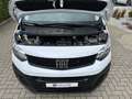 Fiat Scudo 1.5 L1 Diesel*KLIMA*PDC*APPLE*ANDROID* Weiß - thumbnail 4