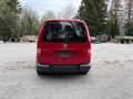 Volkswagen Caddy Umbau für Rollstuhltransport Rot - thumbnail 6