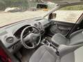 Volkswagen Caddy Umbau für Rollstuhltransport Rot - thumbnail 5