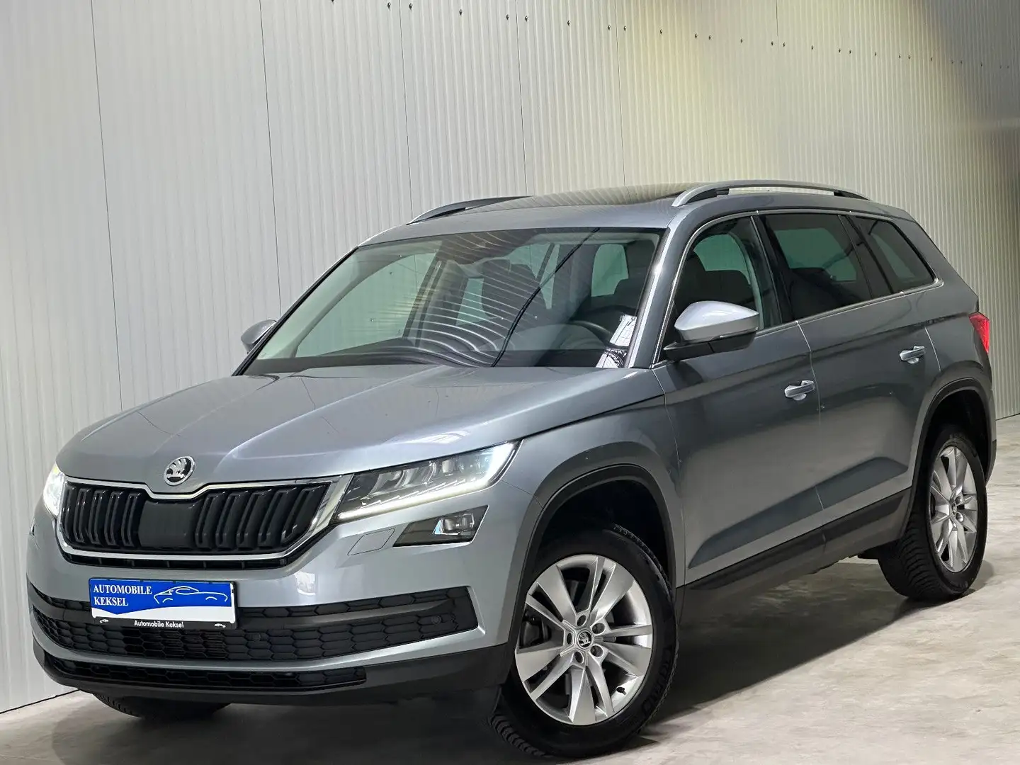 Skoda Kodiaq 2.0TSI DSG 4x4 *LED*LEDER*NAVI*ACC*ASSIST Grau - 1