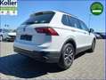Volkswagen Tiguan 1.5 TSI DSG Navi Kamera eHeckklappe Bianco - thumbnail 6